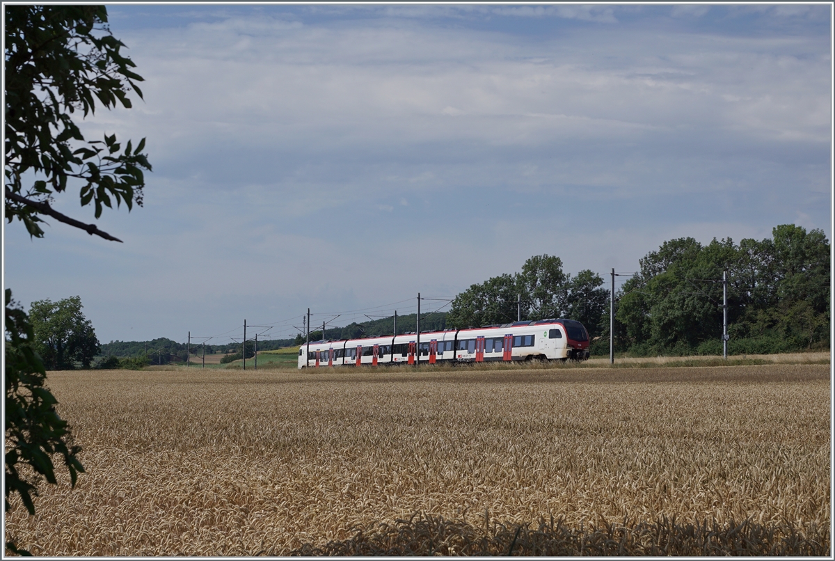 A SBB Flirt 523.3 by Arnex on the way from Vallorbe to Aigle. 

04.07.2022