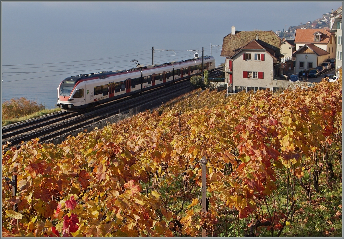 A SBB Flirt on the way to Lausanne by St Saphorin.
22.11.2014
 