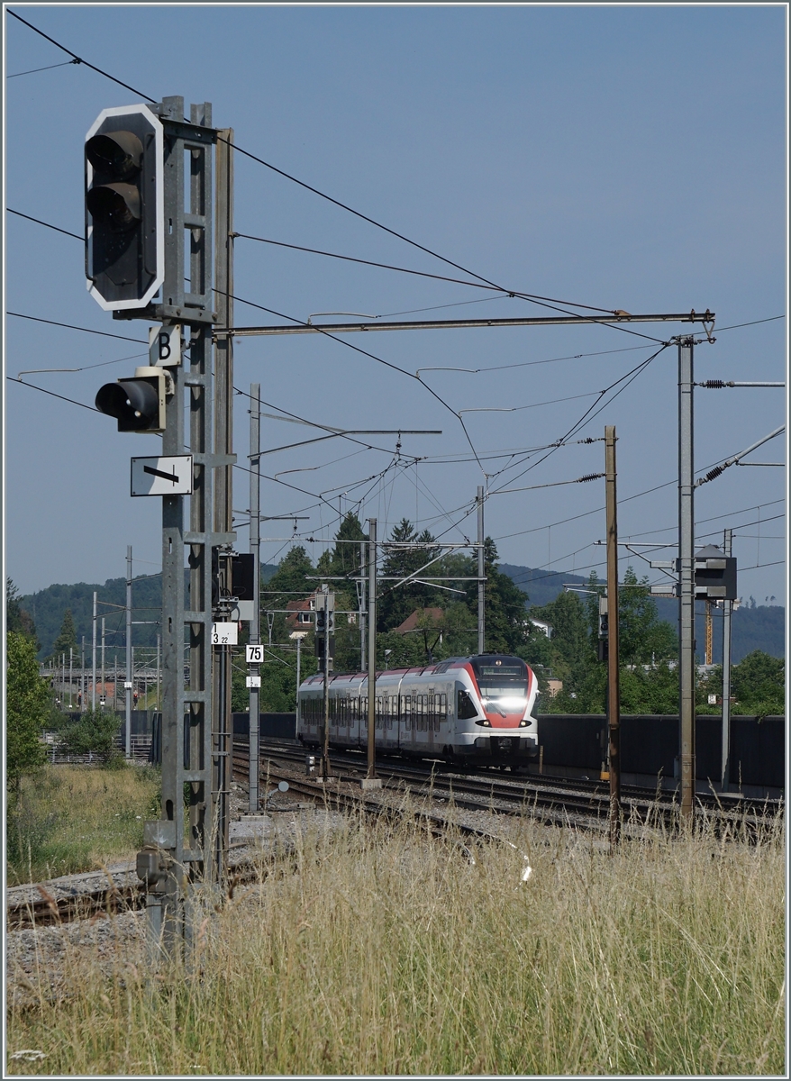 A SBB Flirt RABe 523 on the way to Olten by th WB Station Altmarkt. 

22.06.2017