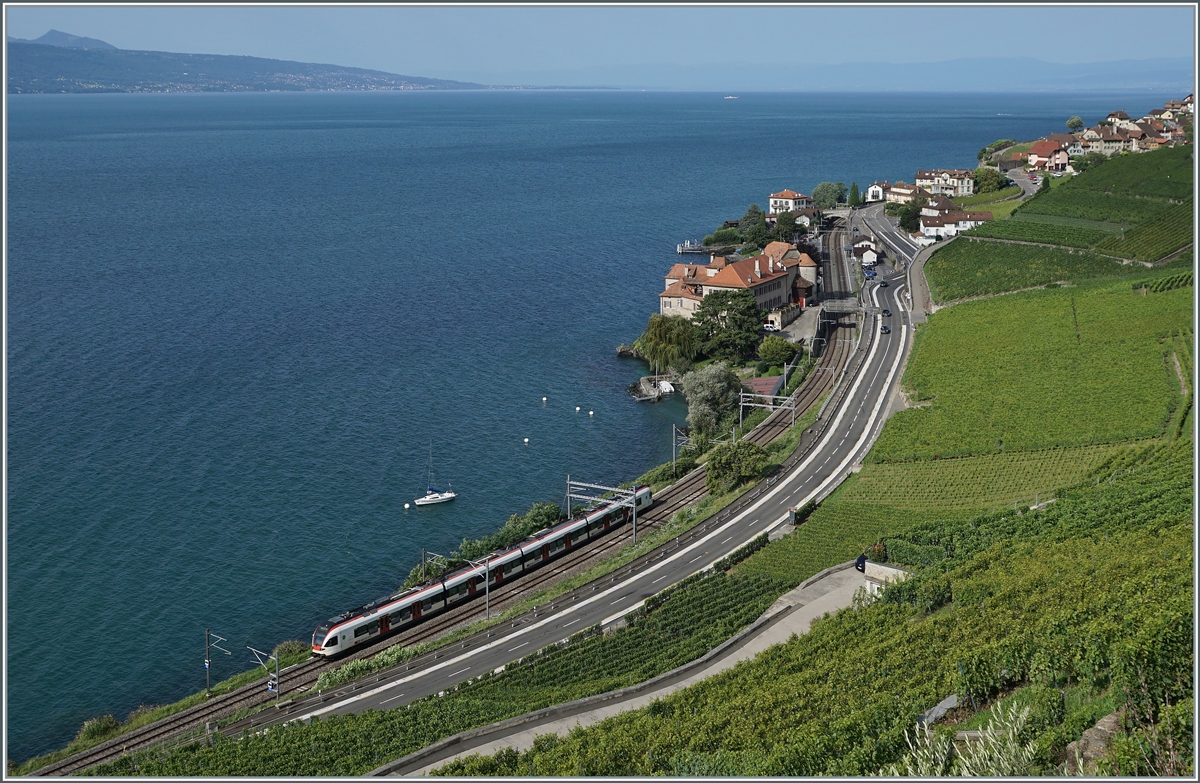 A SBB Flirt RABe 523 on the way to Lausanne by Rivaz. 

13.08.2021