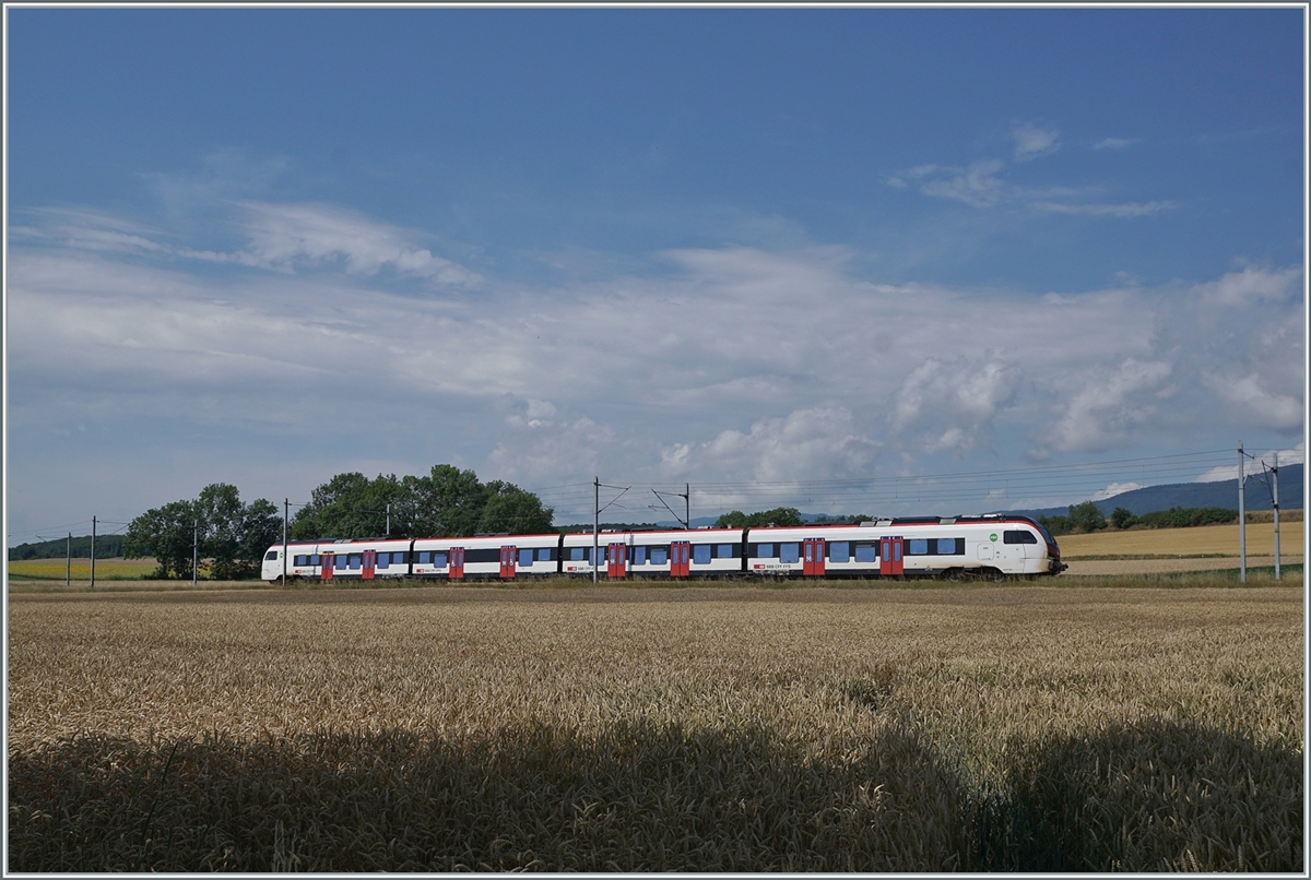 A SBB Flirt3 RABe 523 near Arnex on the way to Vallorbe. 

04.07.2022