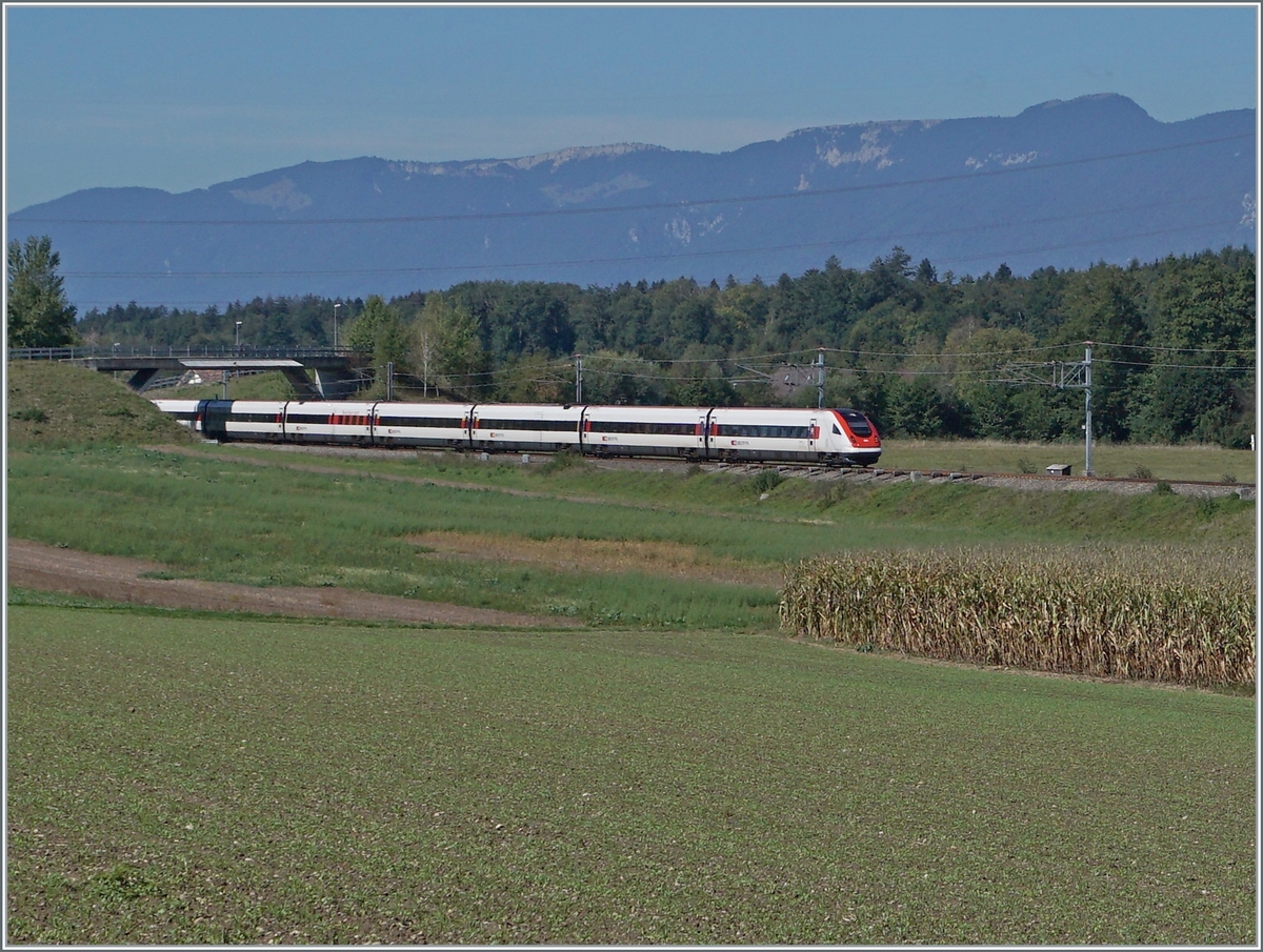 A SBB ICN on the way to by Bolken on the NBS Soltothurn - Wanzwil -(Rothrist). 

12.09.2022