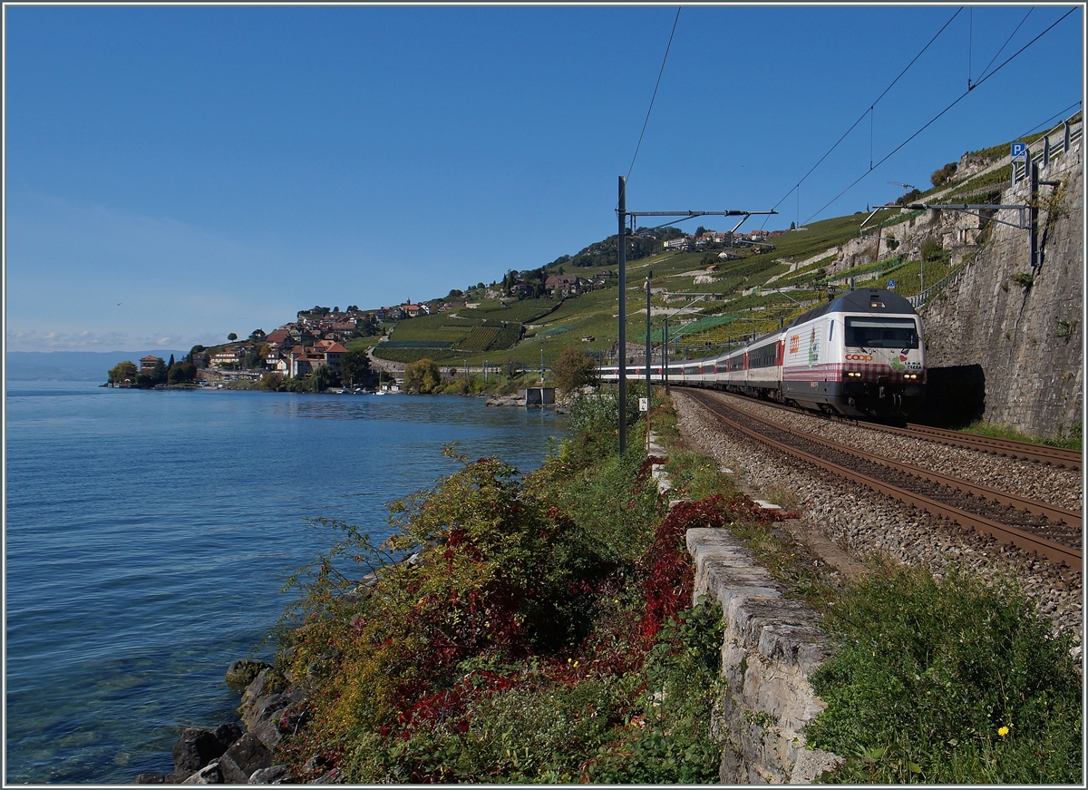 A SBB IR form Genève to Brig betweeen Rivaz and St Saphorin wiht the SBB Re 460 083-9. 

04.10.2015