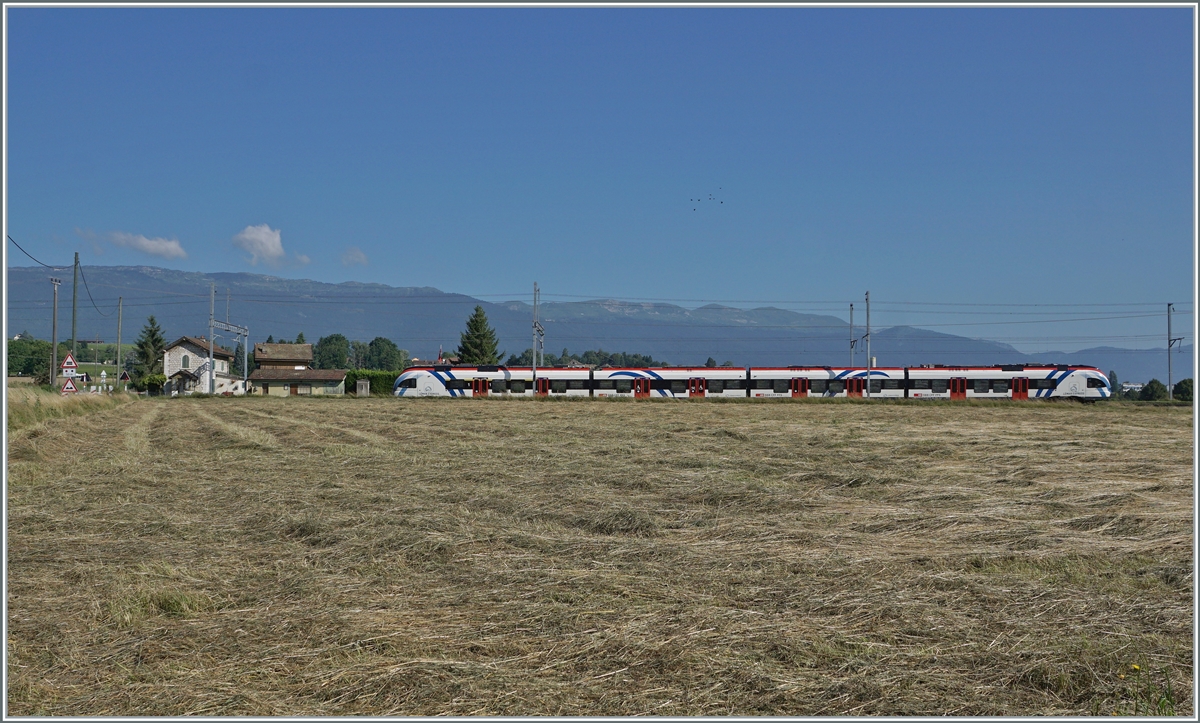 A SBB LEX RABe 522 on the way from Geneva to La Plaine by Bourdigny. 

19.07.2021