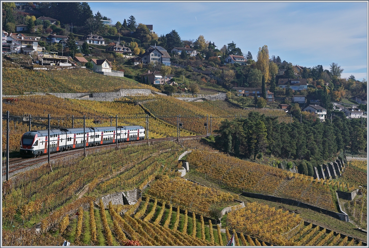 A SBB RABDe 511 betwenn Bossière and Grandvaux.
26.10.2017