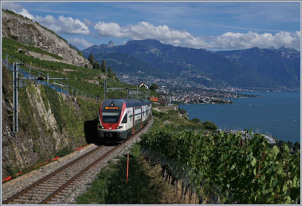 A SBB RABe 511 116 on the  way to Fribourg near Chexbres.
28.08.2018