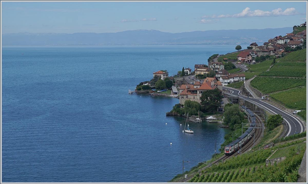 A SBB RABe 511 by Rivaz wiht the Lake of Geneva and the Jura in the background. 

01.07.2020