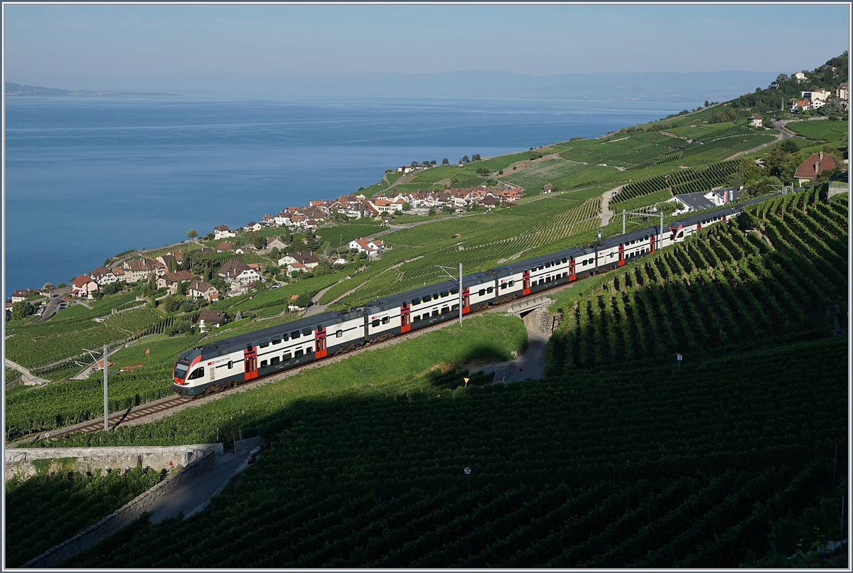 A SBB RABe 511 near Chexbres.
27.07.2018