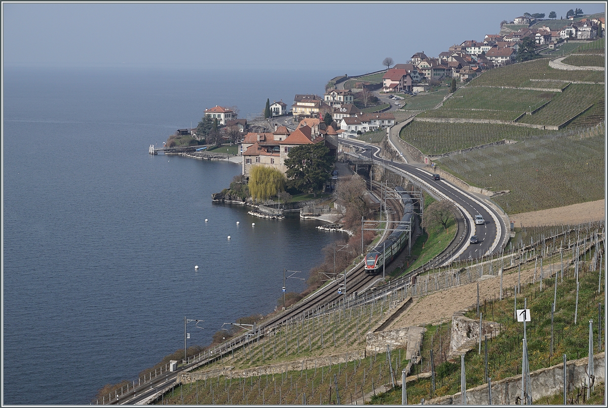 A SBB RABe 511 near Rivaz. 

09.03.2021