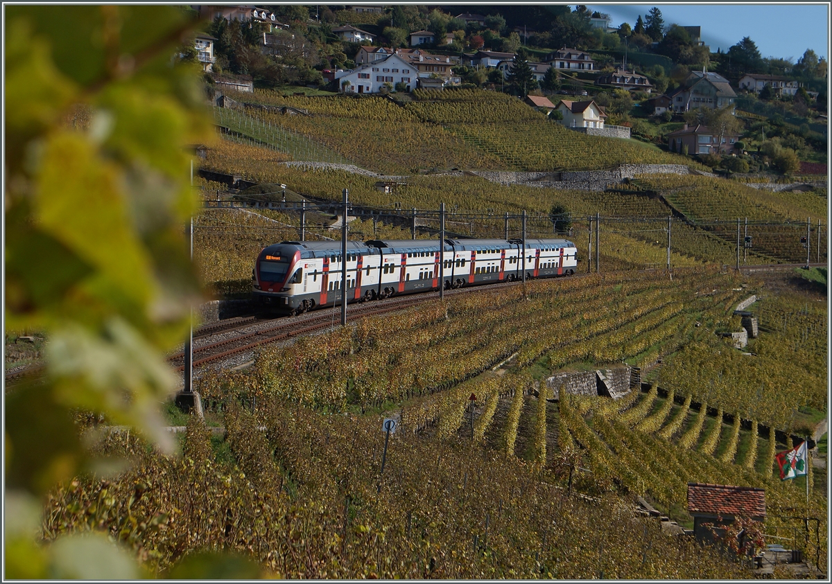 A SBB RABe 511 on the way to Romont near Grandvaux. 
23.10.20141