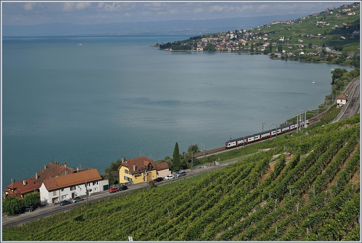 A SBB RABe 511 on the way to Vevey near Epesses.
10.08.2016