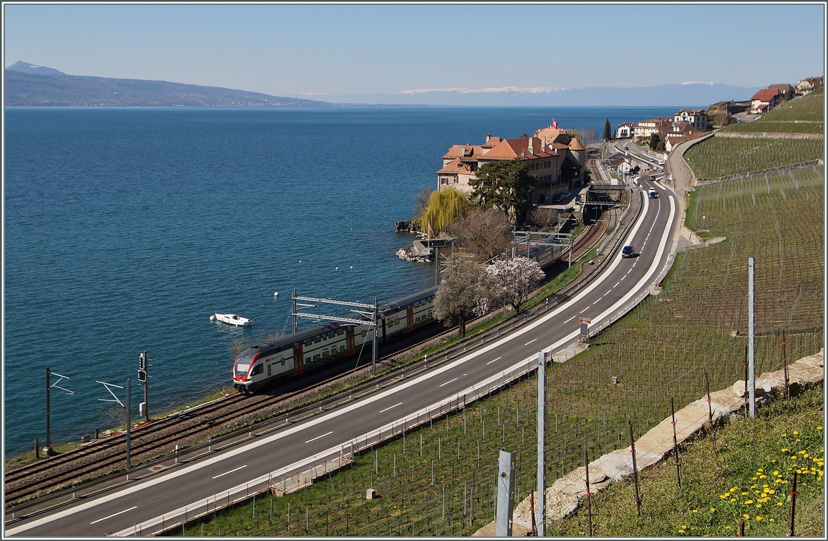 A SBB RABe 511 on the way to Geneve by Rivaz.
06.04.2015