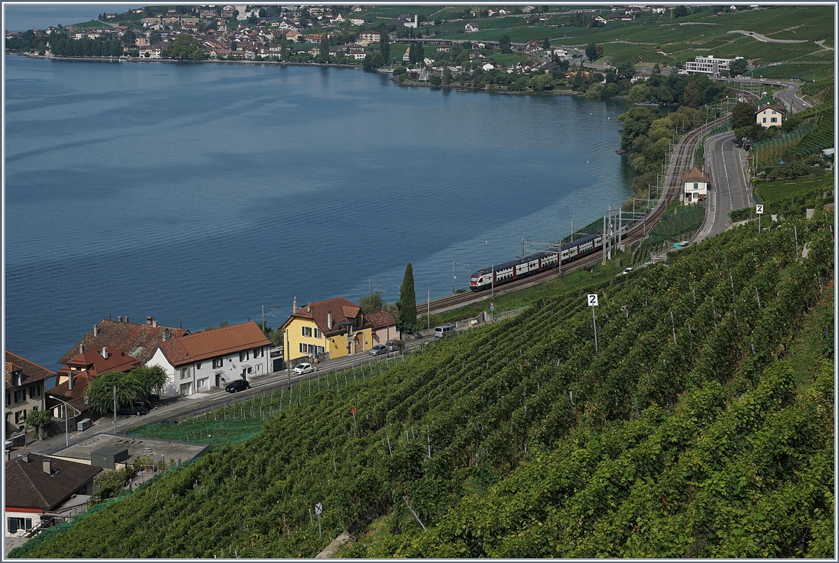 A SBB RABe 511 on the way to Geneva near Epesses.
30.08.2017