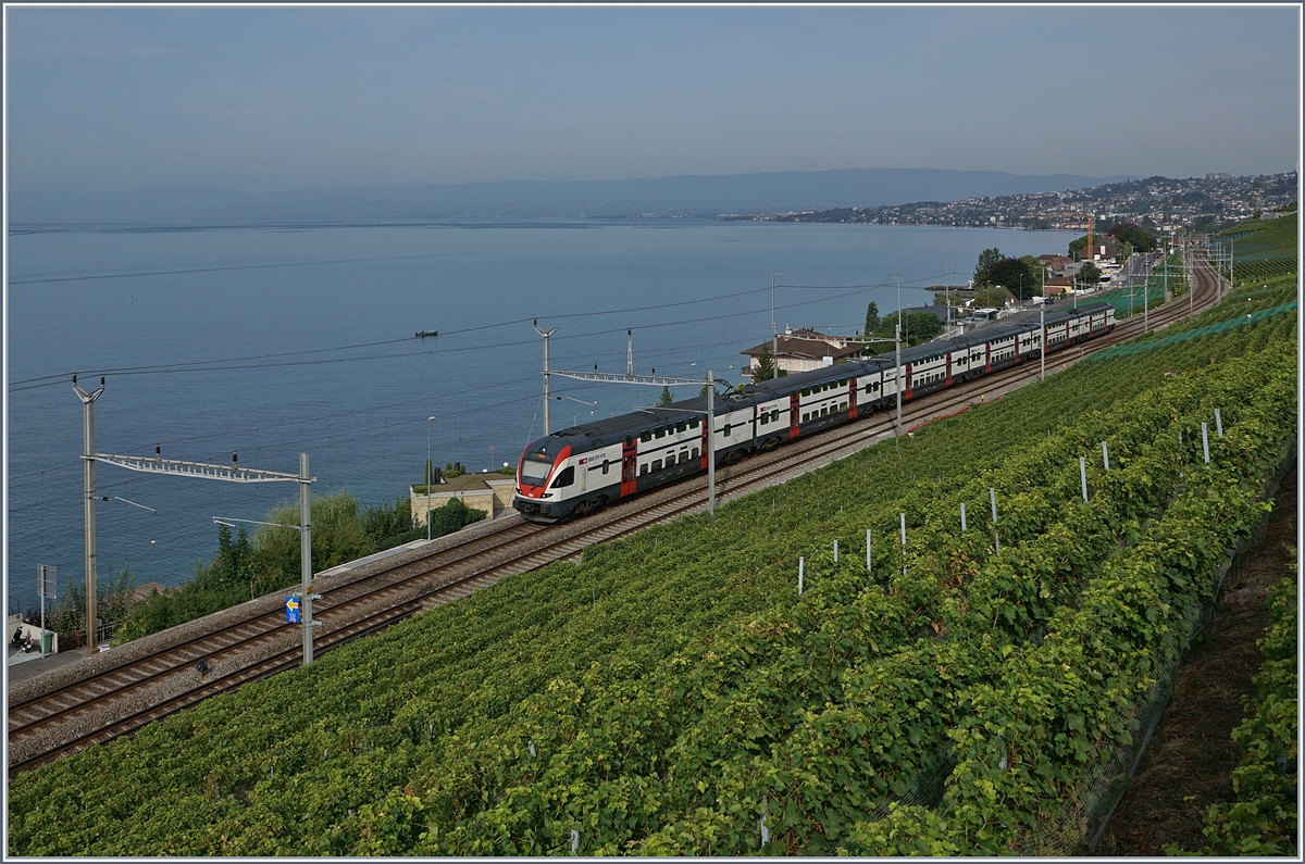 A SBB RABe 511 on the way to Geneva between Cully and Villette VD.
30.08.2017