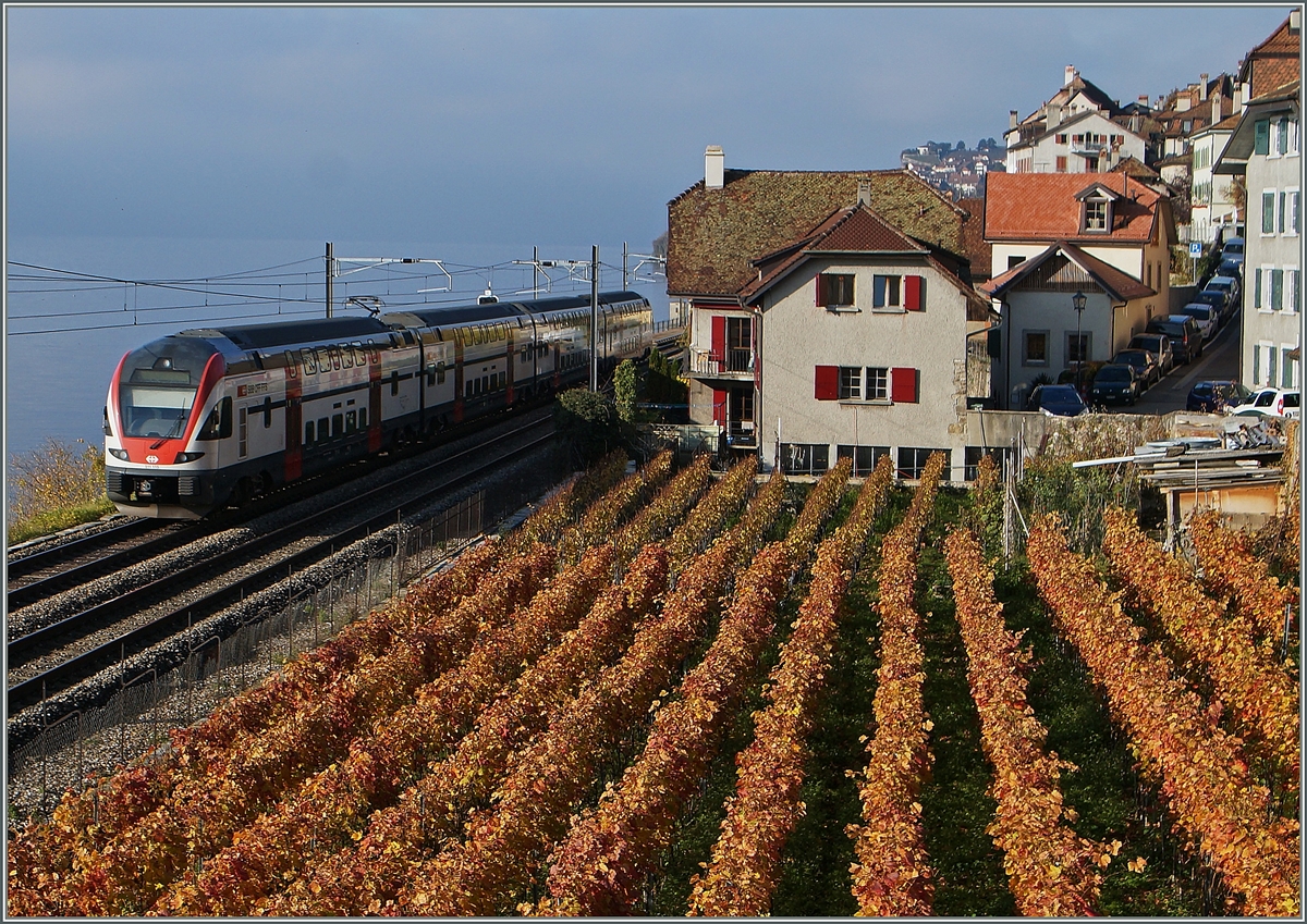 A SBB RABe 511 on the way to Geneve by St-Saphorin.
22.11.2014