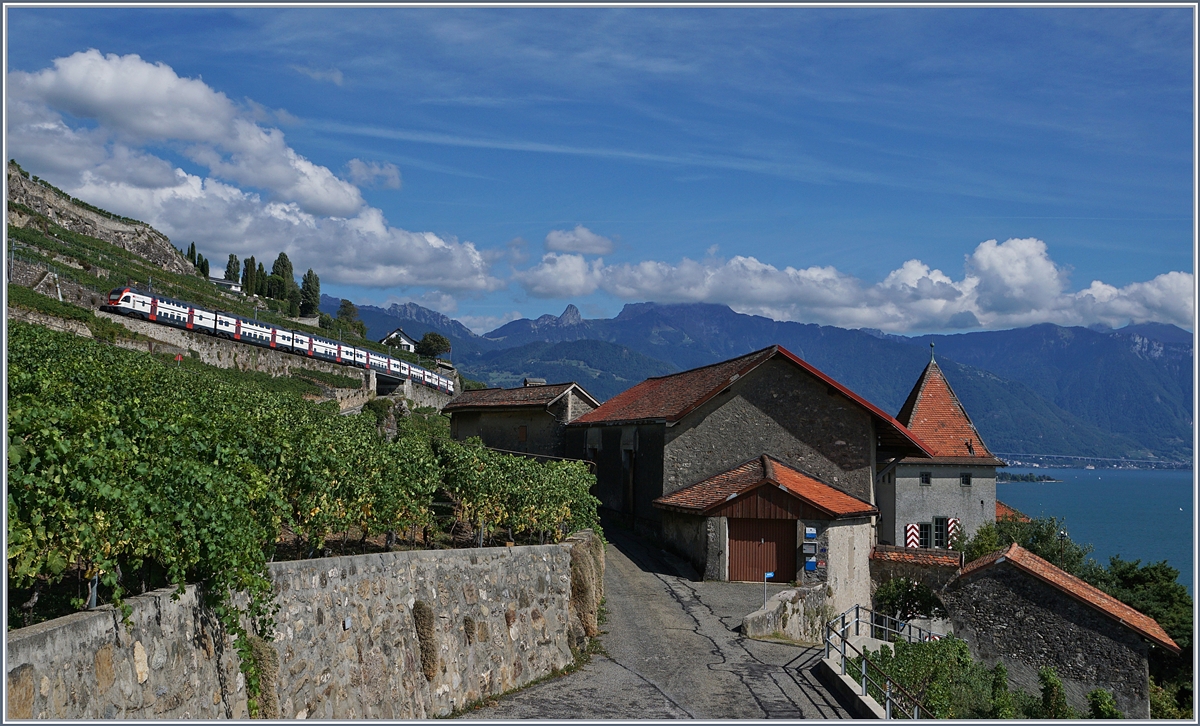 A SBB RABe 511 on the way from Fribourg to Genva via Vevey near Chexbres.
28.08.2018