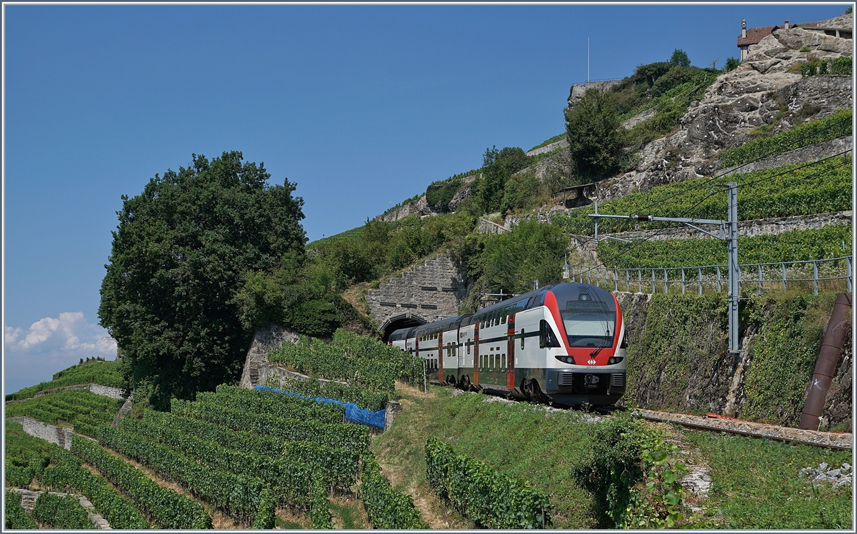 A SBB RABe 511 on the way to Fribourg near Chexbres. 

19.07.2018