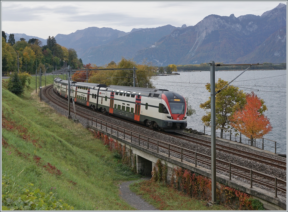 A SBB RABe 511 on the way to Annemasse near Villeneuve. 

21.10.2020