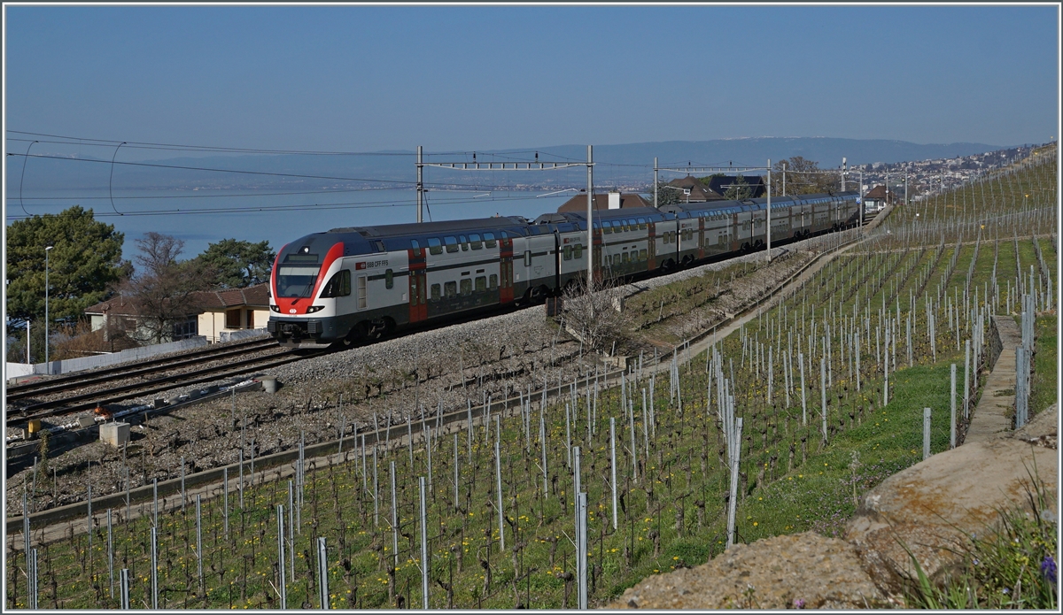 A SBB RABe 511 on the way from Annemasse to St mauriche by Cully.

01.04.2021