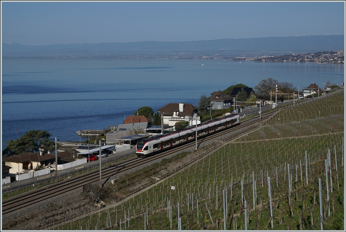 A SBB RABe 523 by Cully on the way to Lausanne. 

01.04.2021