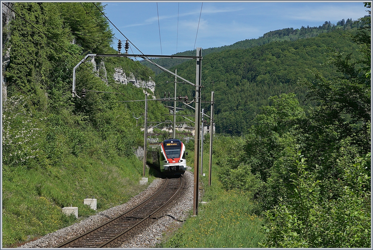 A SBB RABe 523 on the way to Porrentruy near St Ursanne. 

01.06.2019