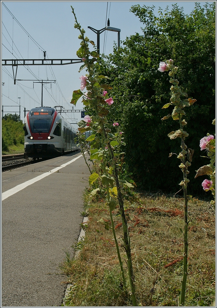 A SBB RABe 523 on the way to Lausanne is arriving at Lonay-Préveranges. 

15.07.2013