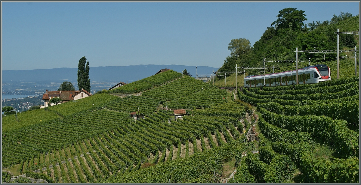 A SBB RABe 523 in the vineyard between Bossière and  Grandvaux.
18.07.2012