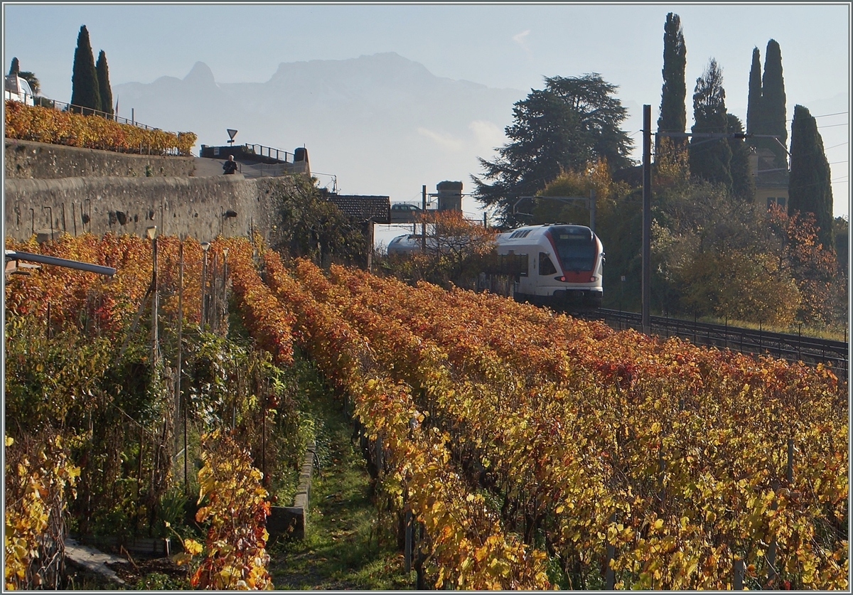 A SBB RABe 523 in the St Saphorin vine yards on the way to Villeneuve.

22.11.2014