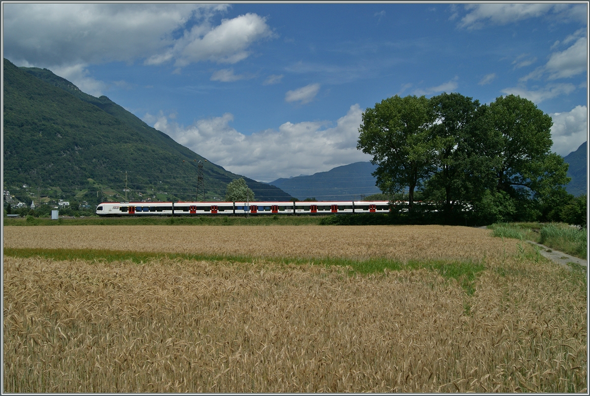 A SBB RABe 524 (ETR 524) near Riazzino.
21.06.2015