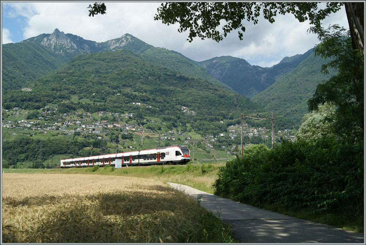 A SBB RABe 524 on the way to Bellinzona near Riazzino.
21.06.2015