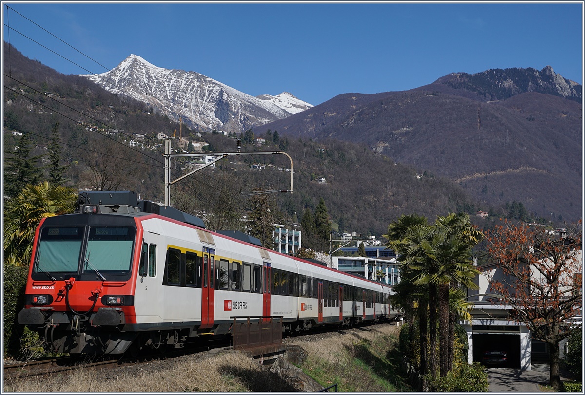 A SBB RABe 560 Domino by Locarno.
14.03.2017