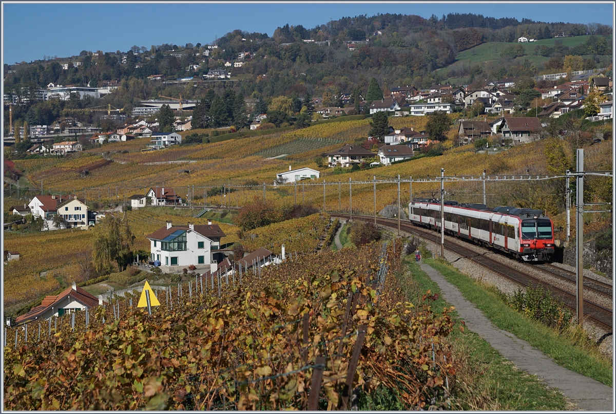 A SBB RBDe 560 Domino between Bossière and Grandvaux.
26.10.2017