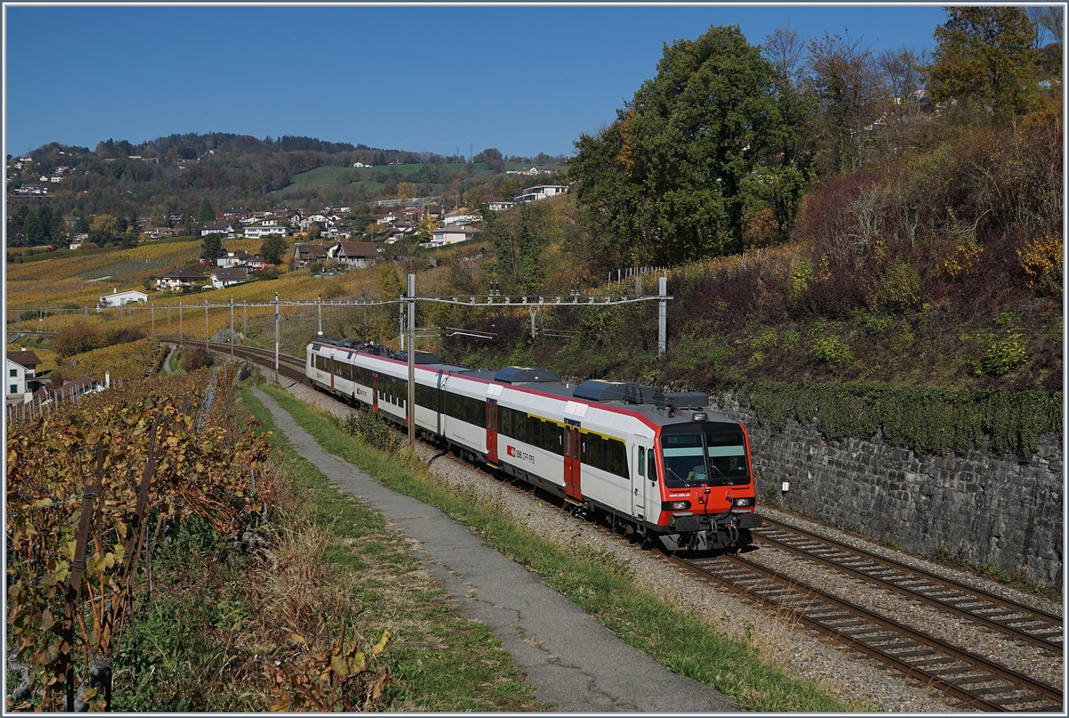 A SBB RBDe 560 Domino between Bossière and Grandvaux.
26.10.2017