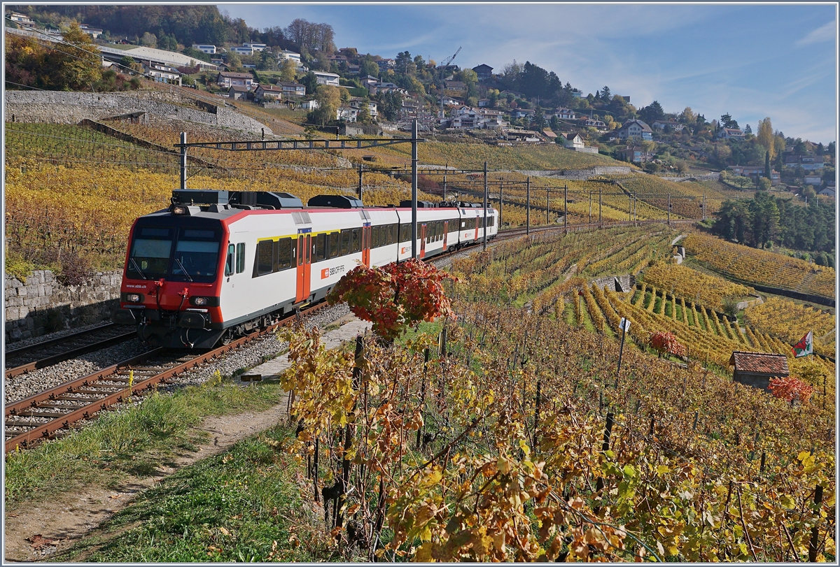 A SBB RBDe 560 Domino between Bossière and Grandvaux.
26.10.2017