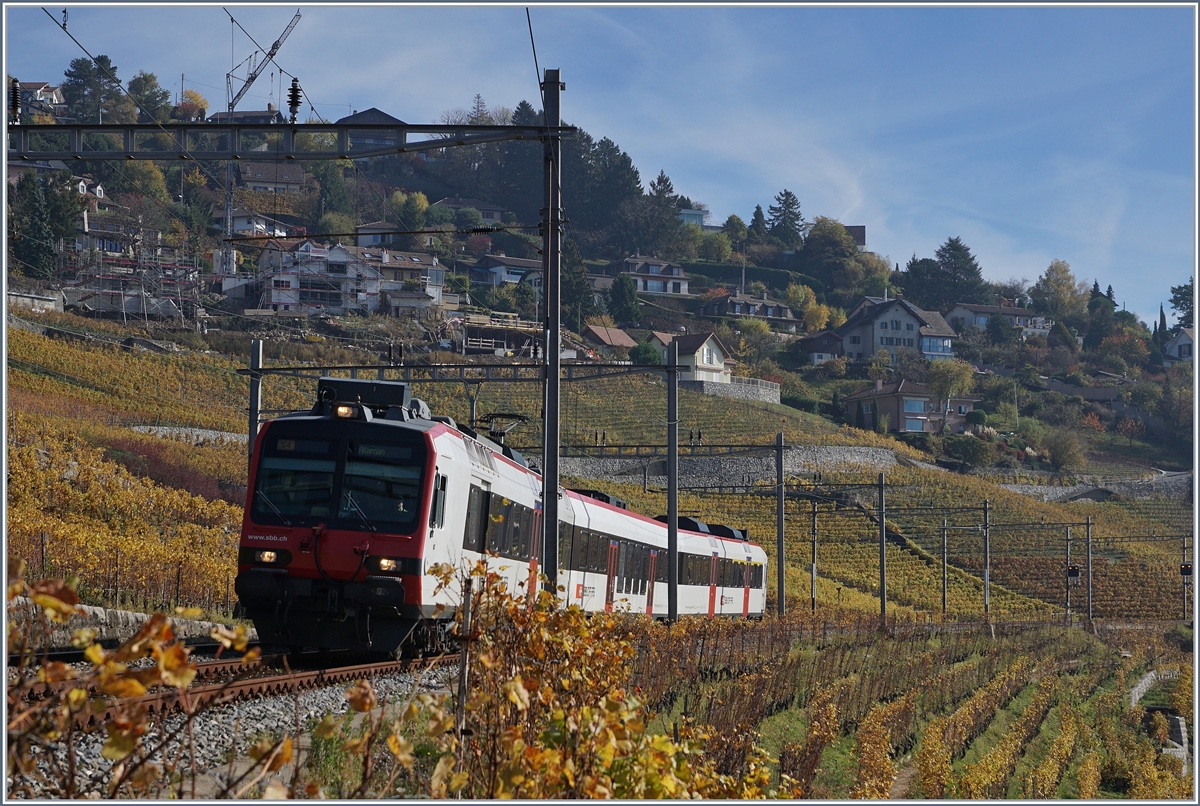 A SBB RBDe 560 Domino between Bossière and Grandvaux.
26.10.2017