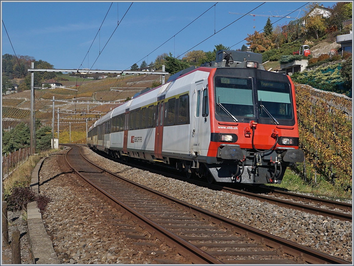 A SBB RBDe 560 Domino between Bossière and Grandvaux.
26.10.2017