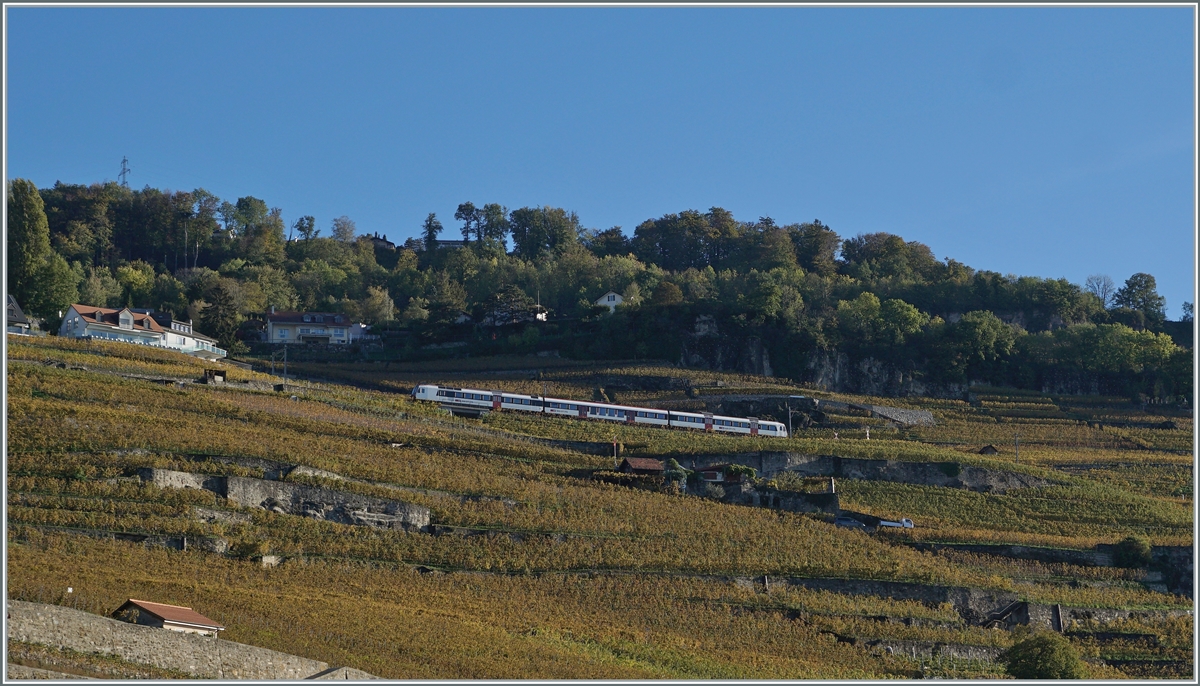 A SBB RBDe 560 Domino on the  Train de Vignes  (vineyard) - line by Chexbres. 

25.10.2022

