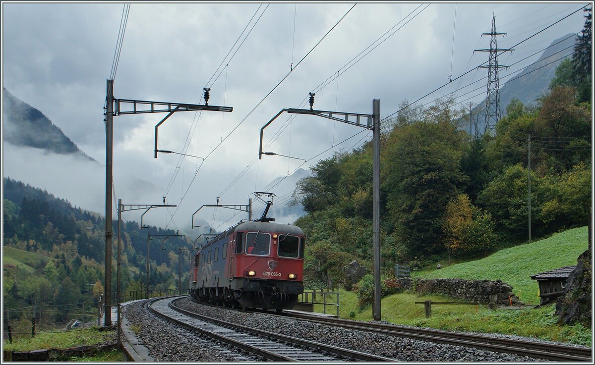 A SBB  Re 10/10  with the SBB Re 6/6 11665 (Re 620 065-3) and a Re 4/4 II / III on the way to Bellinzona near Wasen. 

10.10.2014