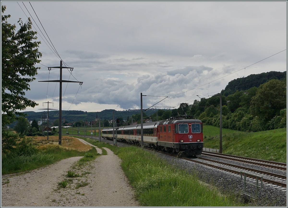 A SBB Re 4/4 II wiht an IC to Stuttgart by Bietingen.
18.06.2016
