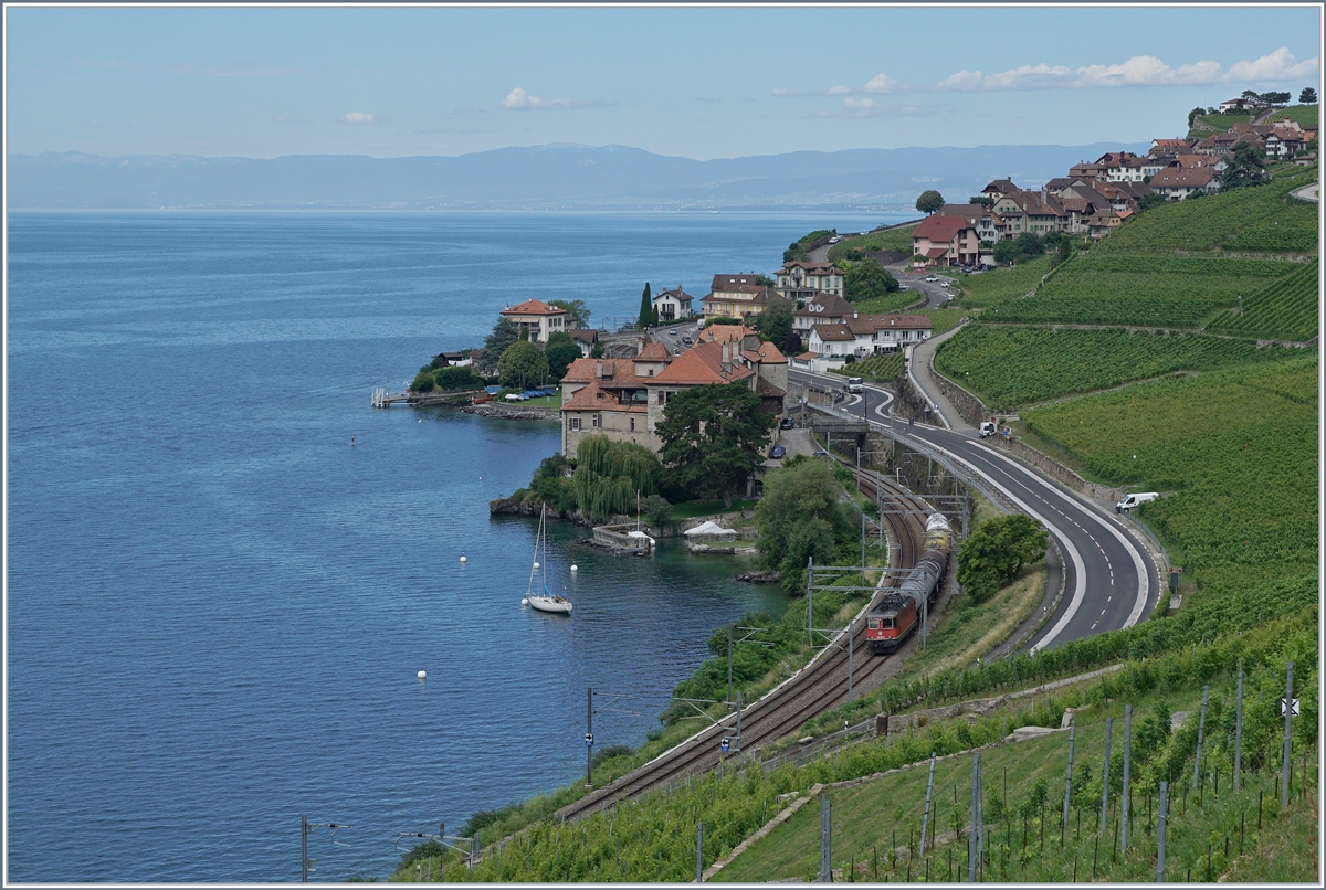 A SBB Re 4/4 II wiht a Cargo service on the way to Vevey by Rivaz. 

01.07.2020