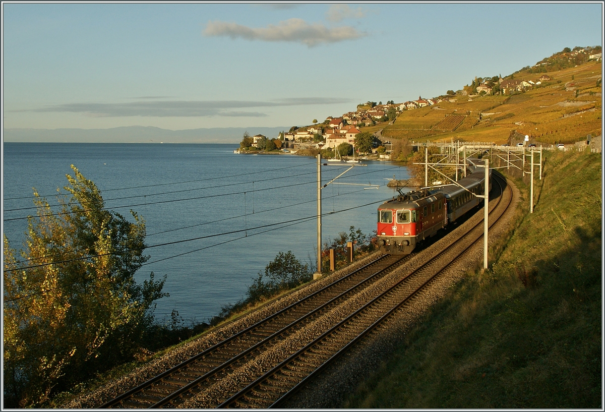 A SBB Re 4/4 II with a Dispo-Zug on the way to Lausanne between St Saphorin and Rivaz. 

30.10.2013
