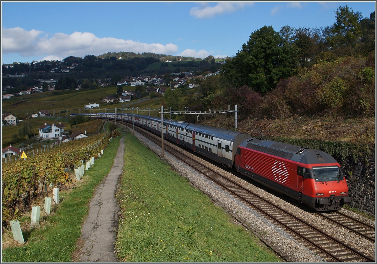 A SBB Re 460 wiht an IC by Grandvaux.
23.10.2014