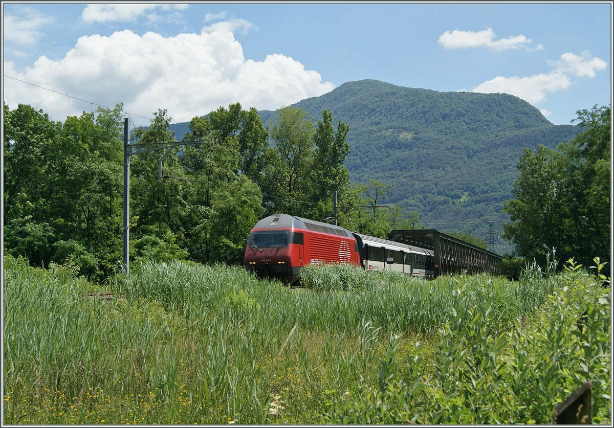 A SBB Re 460 wiht a IR to Locarno by the Ticino Bridge.
21.06.2015