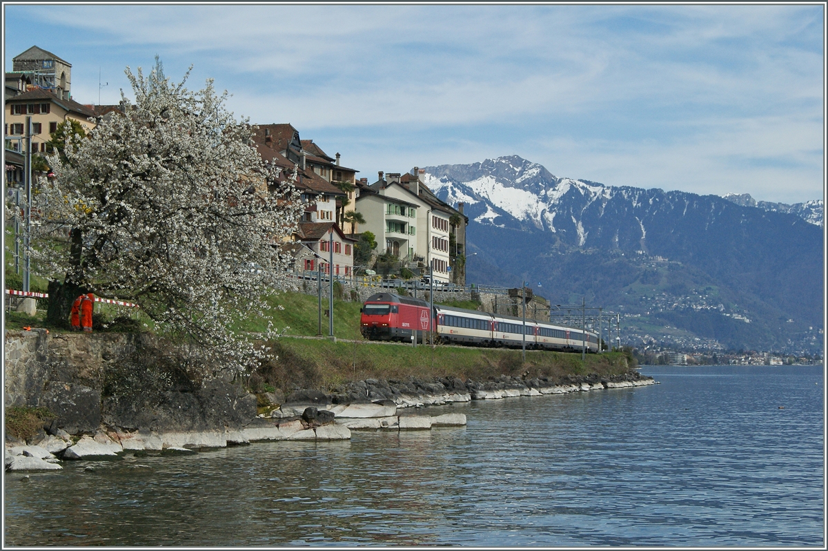 A SBB Re 460 wiht an IR to Geneva by St Saphorin.
15.04.2015