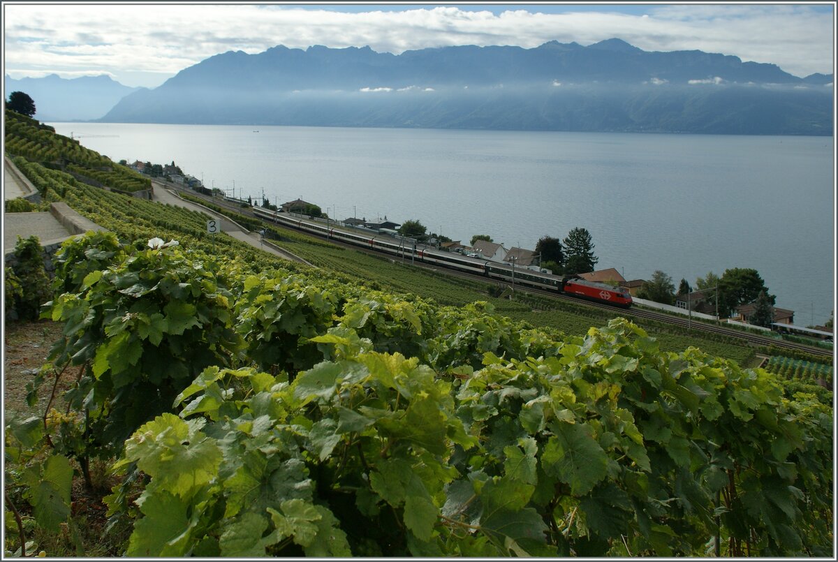 A SBB Re 460 wiht his IR from Brig to Geneva Airport by Cully.

20.09.2013