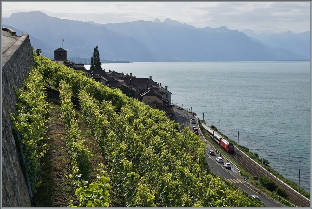 A SBB Re 460 wiht his IR 90 on the way to Geneva Airport by St Saphorin. 

13.08.2021