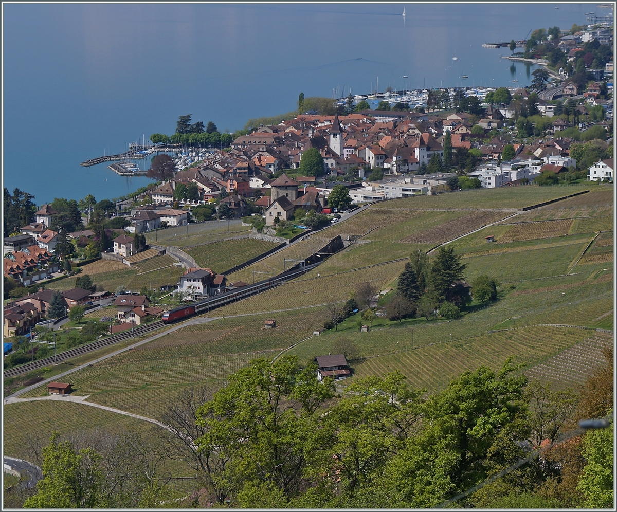 A SBB Re 460 with an IR to Brig by Lutry.
23.04.2014