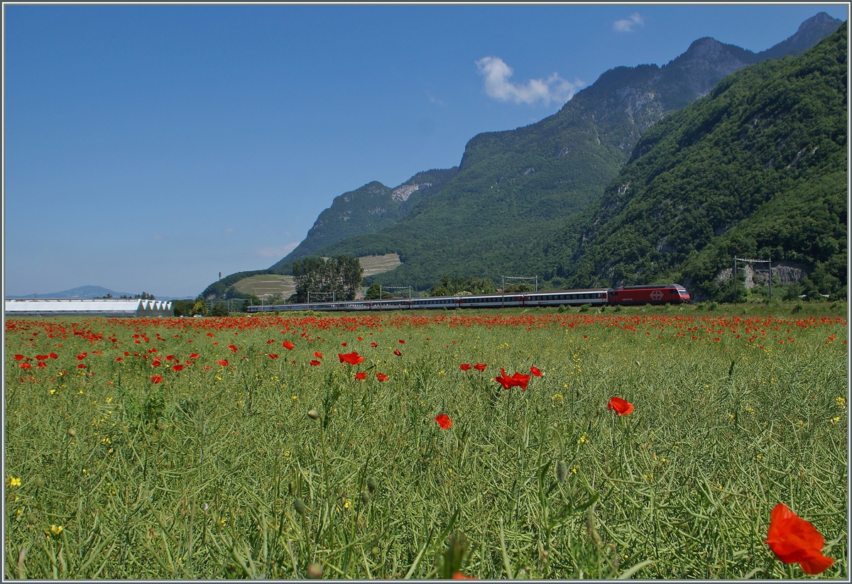 A SBB Re 460 with the IR 1715 on the way to Brig near Roche VD.
27.05.2015