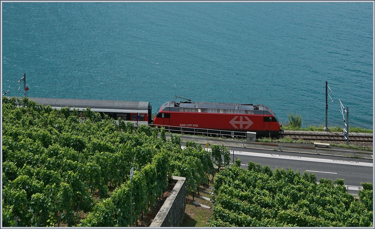 A SBB Re 460 with an IR between vineyards and lac by St Saphorin.
23.07.2017