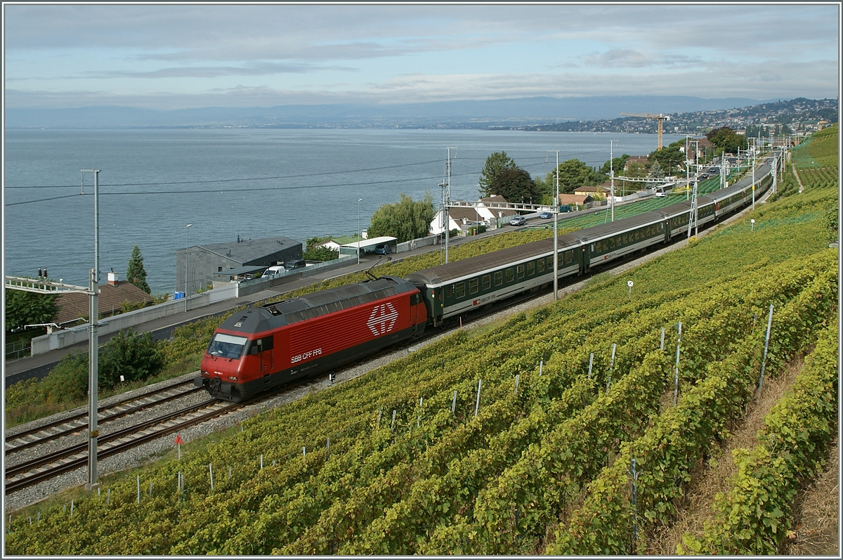 A SBB Re 460 with an IR to Brig by Cully.

20.09.2013